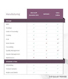 ERP小金剛Pro專業(yè)大比拼 Dynamics 365、NetSuite與Odoo定制化深度解析